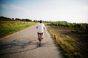 mhw magazin fahrradfahren mit hund 300x199 - Radfahrer Training: Effektive &Uuml;bungen f&uuml;r Zuhause