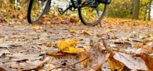 Radfahren im Winter und bei schlechtem Wetter - Was gibt es zu beachten? Fahrradfahren Herbst 4 300x140 - Radfahren im Winter und bei schlechtem Wetter - Was gibt es zu beachten?