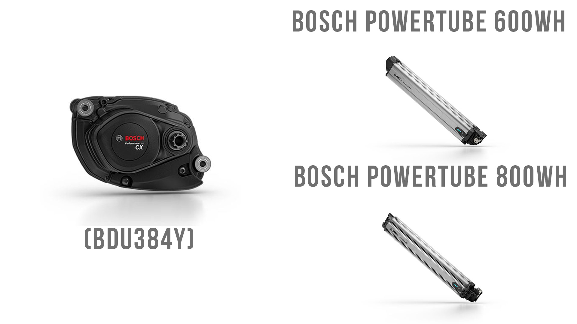 Bosch performance line cx und bosch powertube akku